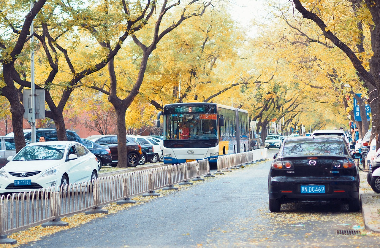 台州道路绿化与花卉绿植公司，东西湖区高价花卉价格信息解析台州花卉园林基地  第1张